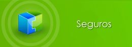 Seguros